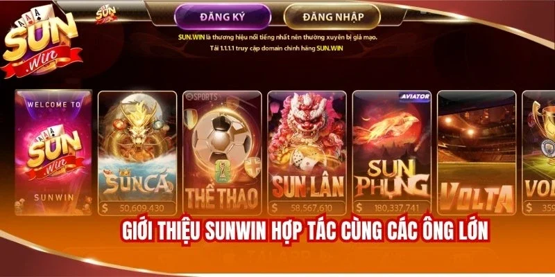 Giới thiệu Sunwin hợp tác cùng các ông lớn